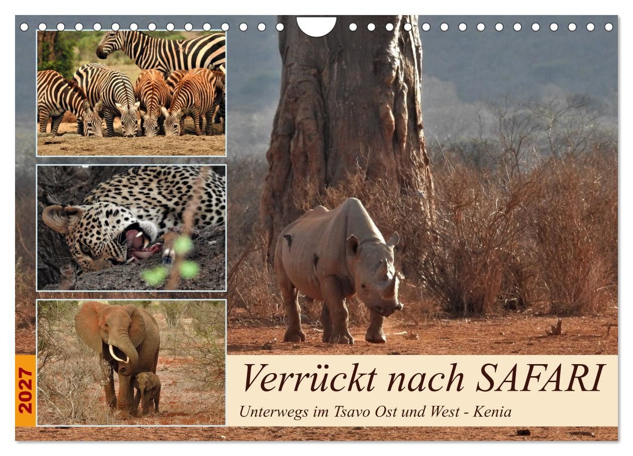 CALVENDO Wandkalender Verrückt nach SAFARI Unterwegs im Tsavo Ost und West Kenia (Wandkalend