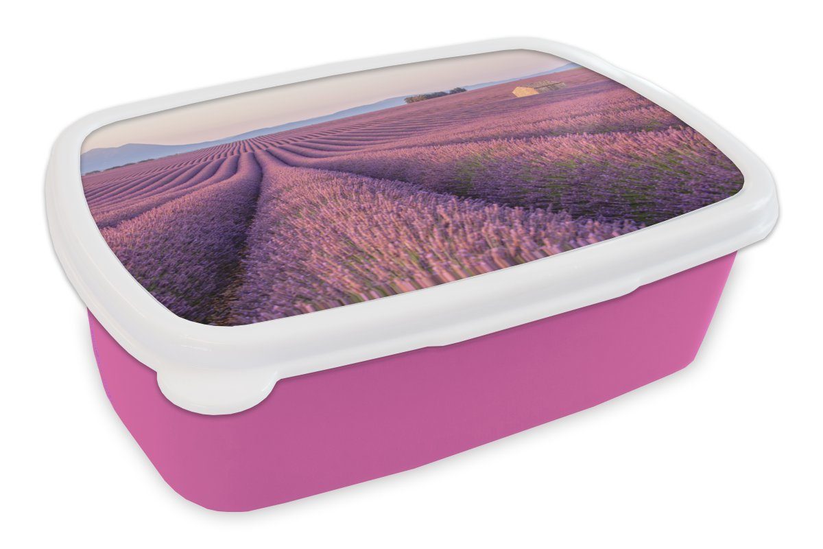 MuchoWow Lunchbox Ausgedehntes lila Lavendelfeld zwischen Bergen, Kunststoff, (2-tlg), Brotbox für Erwachsene, Brotdose Kinder, Snackbox, Mädchen, Kunststoff rosa