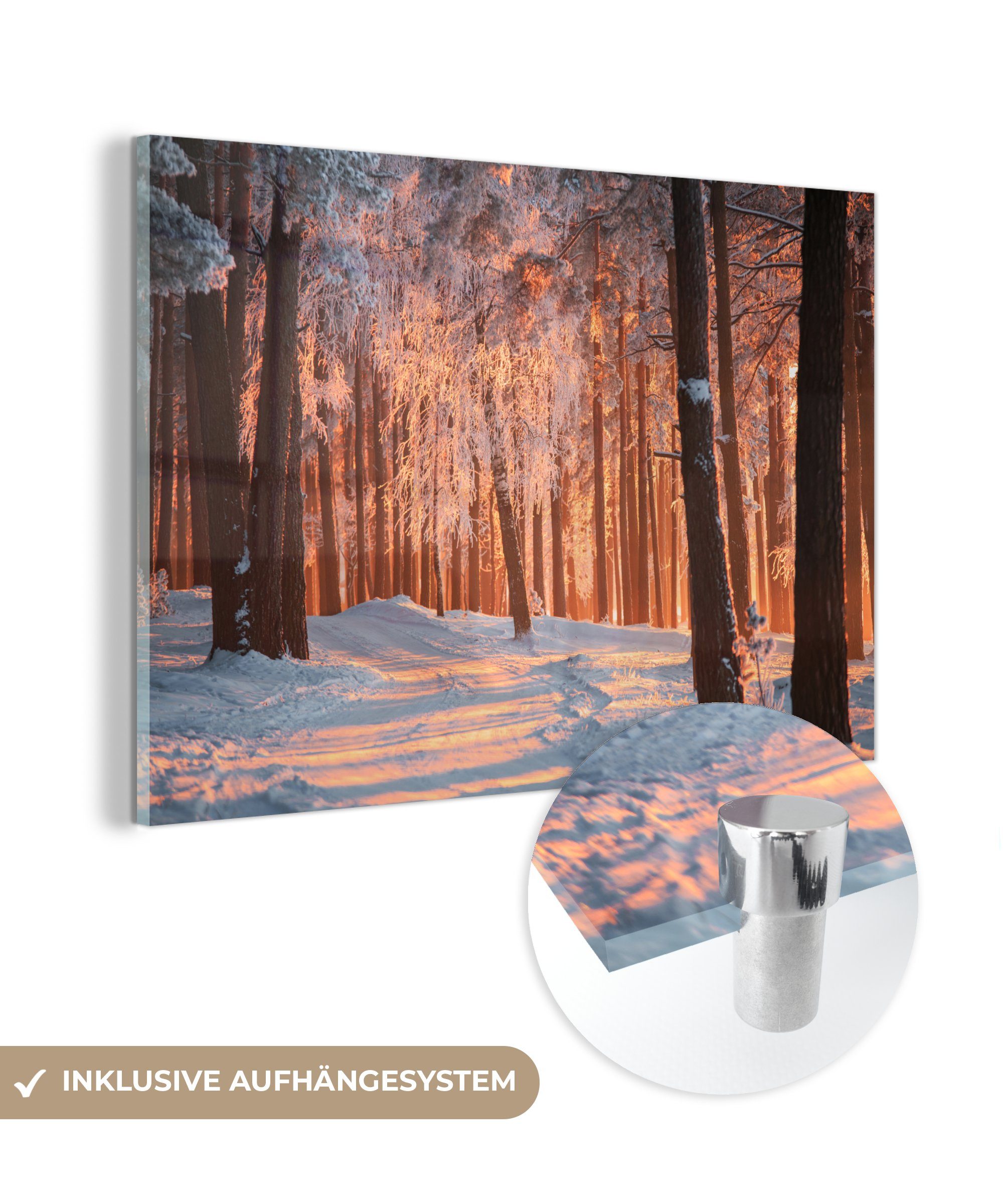 MuchoWow Acrylglasbild Winter - Wald - Baum, (1 St), Acrylglasbilder Wohnzimmer & Schlafzimmer