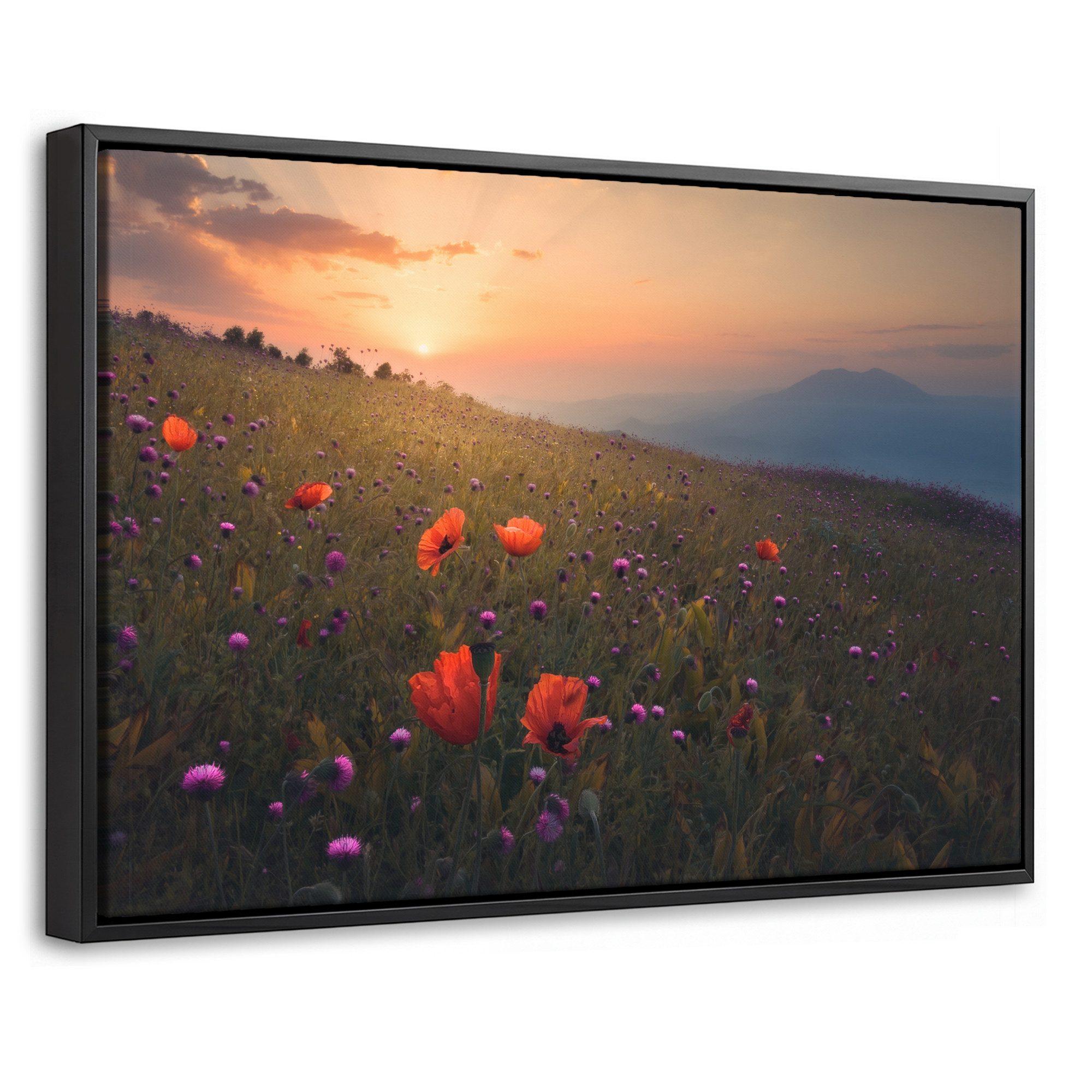 OneMillionCanvasses® Leinwandbild mit Rahmen - Blumenfeld - Gras - Blumen - Pflanzen - Sonnenuntergang -, Fotodruck (1 St), Bilder, Zimmer Wand Bild Dekoration 30x20cm