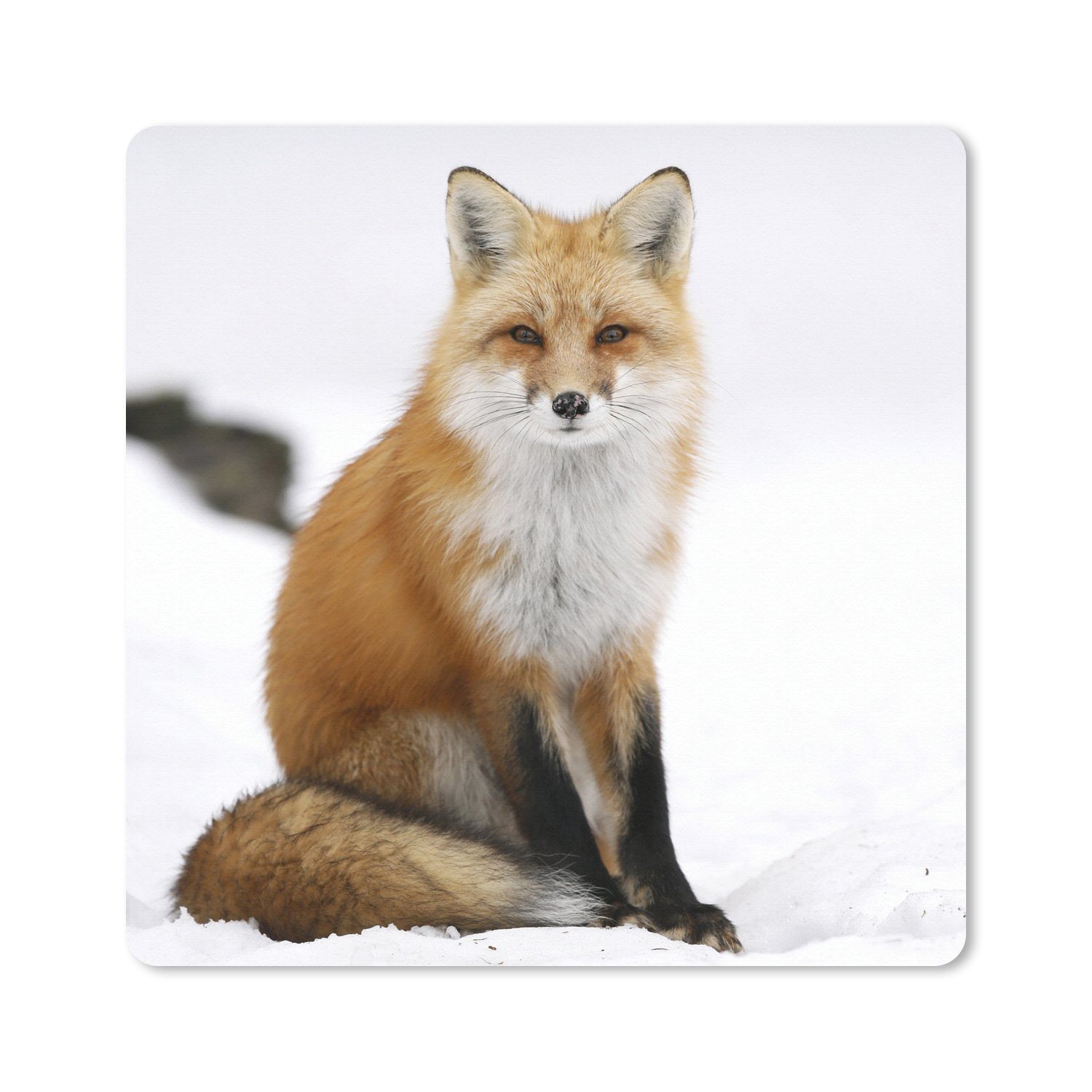 MuchoWow Mauspad Fuchs - Schnee - Winter (1-St), Mousepad, PC Zubehör, Gaming Dekoration, Desk Mat, 60x60 cm
