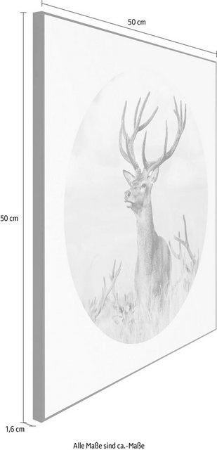 Reinders! Wandbild »Slim Frame Black 50x50 Black & White - tough deer«-Otto