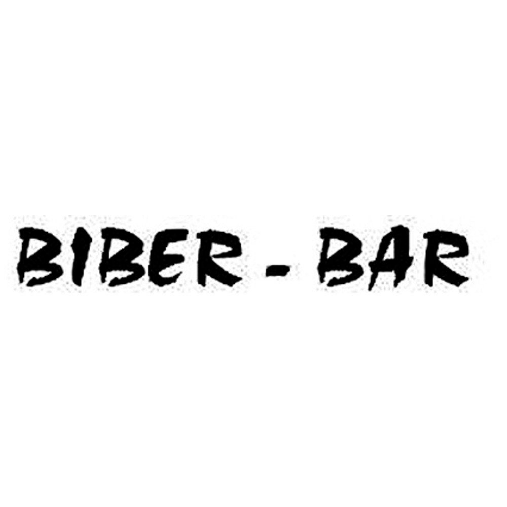 Bar Biber Nageleisen Brecheisen mm forum® 380