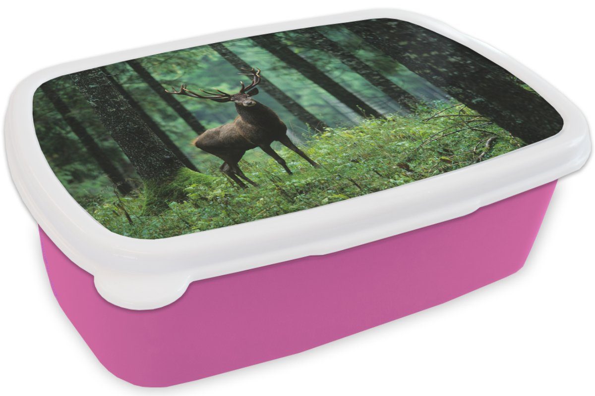 - Lunchbox Wald Brotdose Kunststoff Mädchen, für Snackbox, Bäume Hirsche - MuchoWow Kunststoff, Kinder, Brotbox Erwachsene, Tiere rosa Natur, - - (2-tlg),