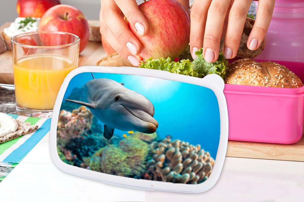 Mädchen, Erwachsene, für - Kinder, Brotbox Koralle, Meer - Snackbox, Brotdose Kunststoff, (2-tlg), MuchoWow rosa Kunststoff Lunchbox Delfin