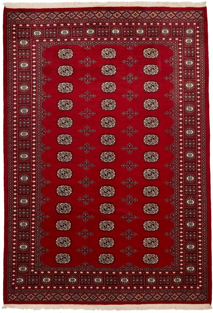 Trading, Buchara Pakistan mm 2ply rechteckig, Handgeknüpfter Orientteppich Orientteppich, 191x275 Höhe: 8 Nain