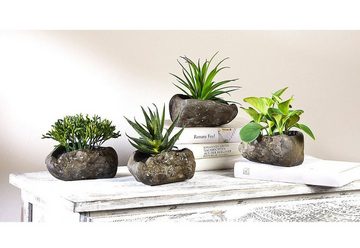 Kunstpflanze Sukkulenten, Home affaire, Höhe 12 cm, 4er Set