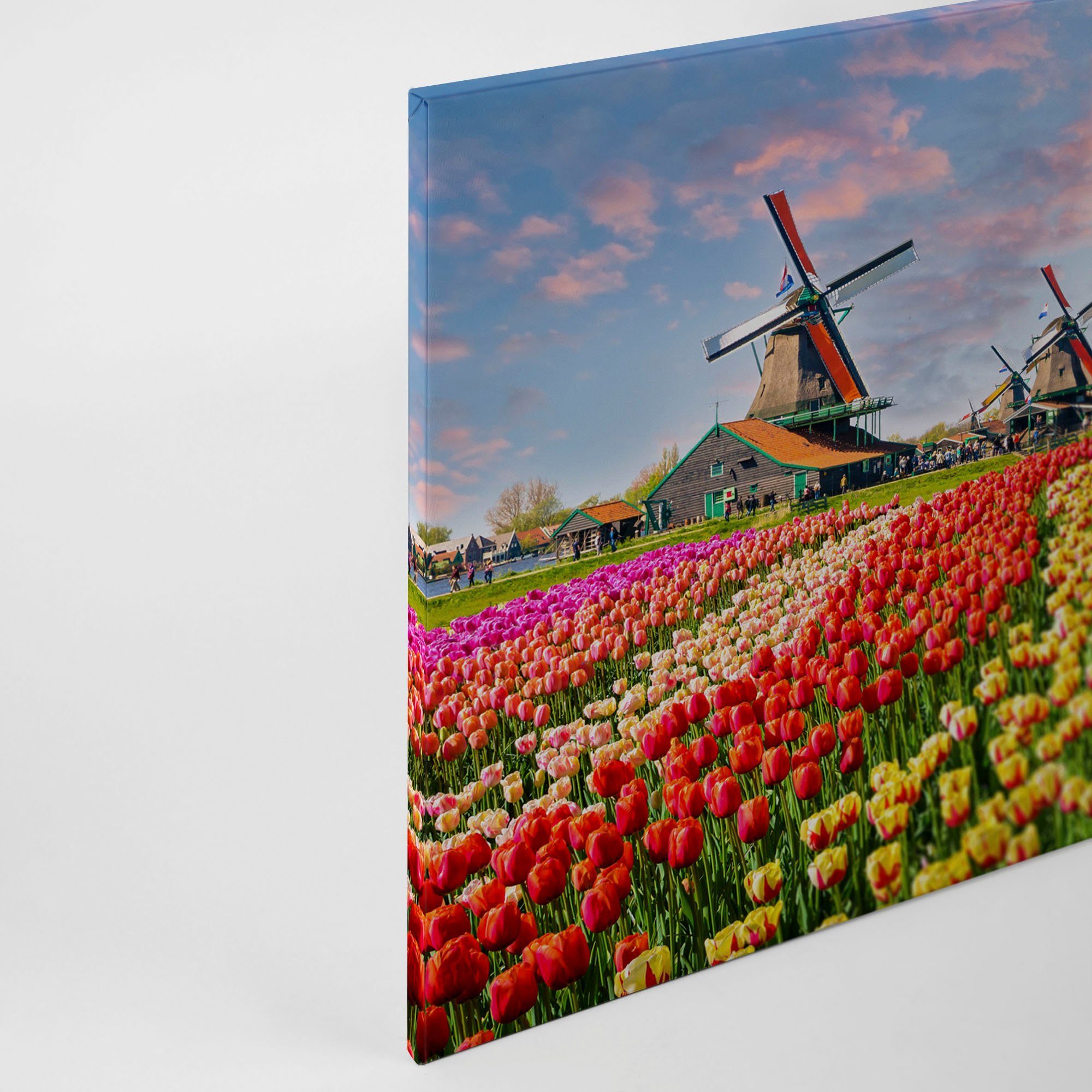A.S. Création Leinwandbild Zaanse Schans, Kinder, Kunst, Landschaft (1 St), Keilrahmen Blumenfeld Tulpenfeld Holland Leinwand-Bild Wohnzimmer Wand