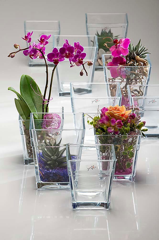 Sandra Rich Blumentopf Glastopf QUATTRO von Sandra Rich