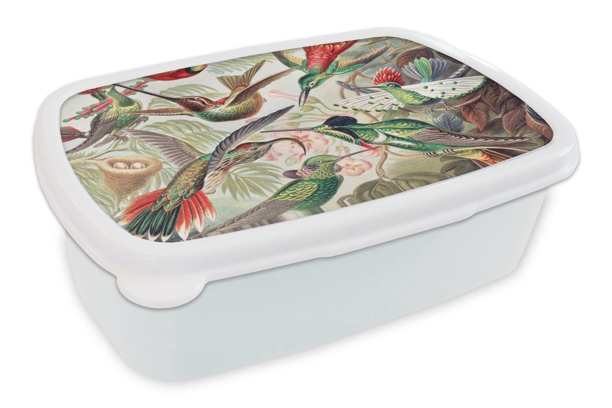 MuchoWow Lunchbox Kolibri - Vintage - Ernst Haeckel - Vogel - Kunst - Natur, Kunststoff, (2-tlg), Brotbox für Kinder und Erwachsene, Brotdose, für Jungs und Mädchen weiß