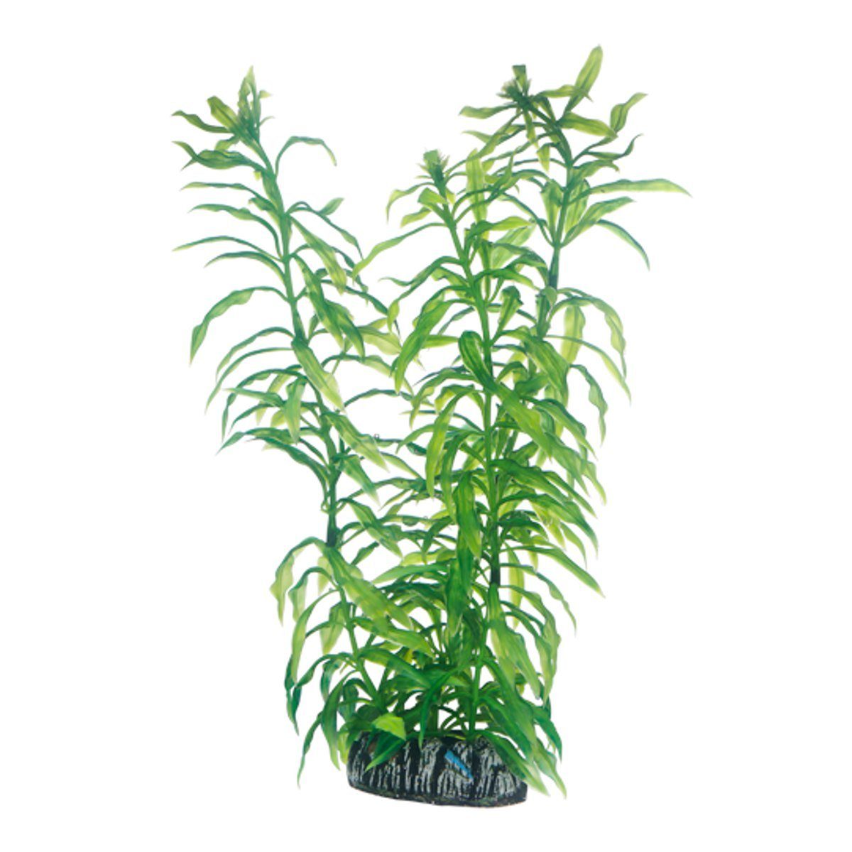 HOBBY Aquariendeko Heteranthera 25 cm - künstliche Aquariumpflanze