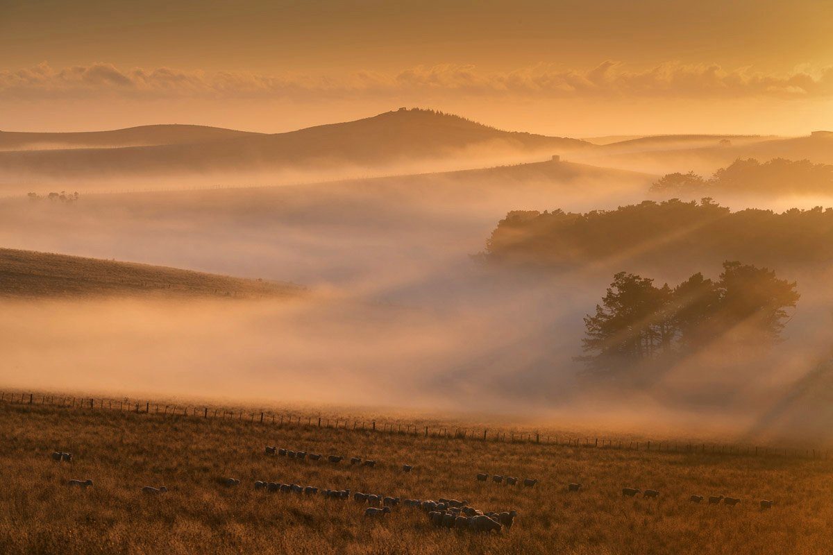 Landschaft Fototapete in Papermoon Nebel