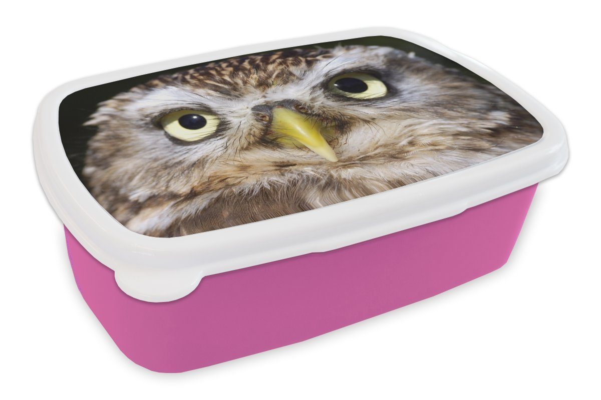 MuchoWow Lunchbox Nahaufnahme einer braunen Eule, Kunststoff, (2-tlg), Brotbox für Erwachsene, Brotdose Kinder, Snackbox, Mädchen, Kunststoff rosa