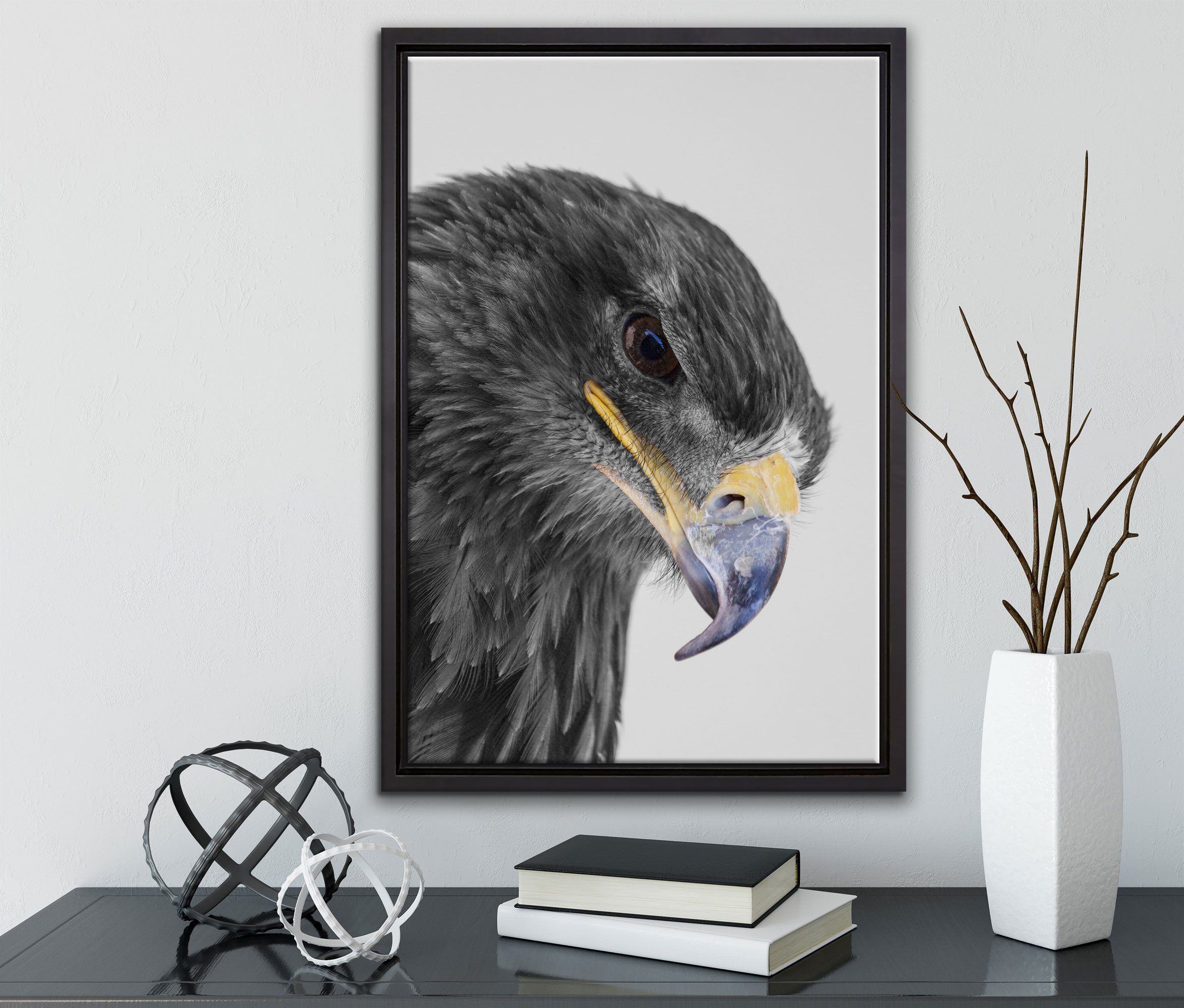 Pixxprint Leinwandbild wunderschöner Adler bespannt, einem Schattenfugen-Bilderrahmen Portrait, Wanddekoration in St), im (1 gefasst, Leinwandbild Zackenaufhänger inkl. fertig