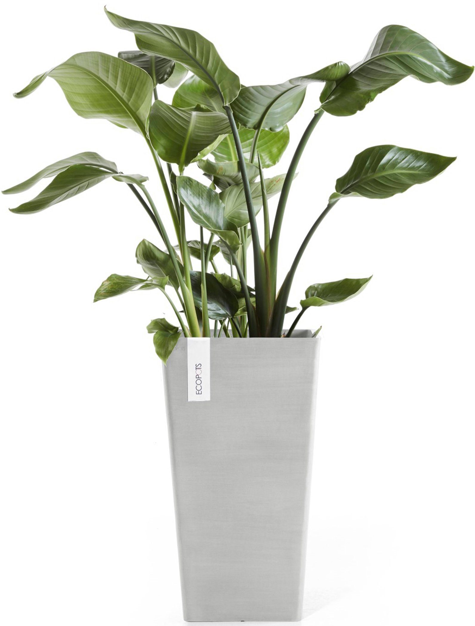 ECOPOTS Blumentopf Rotterdam halbhoch 56 Weißgrau, günstig online kaufen