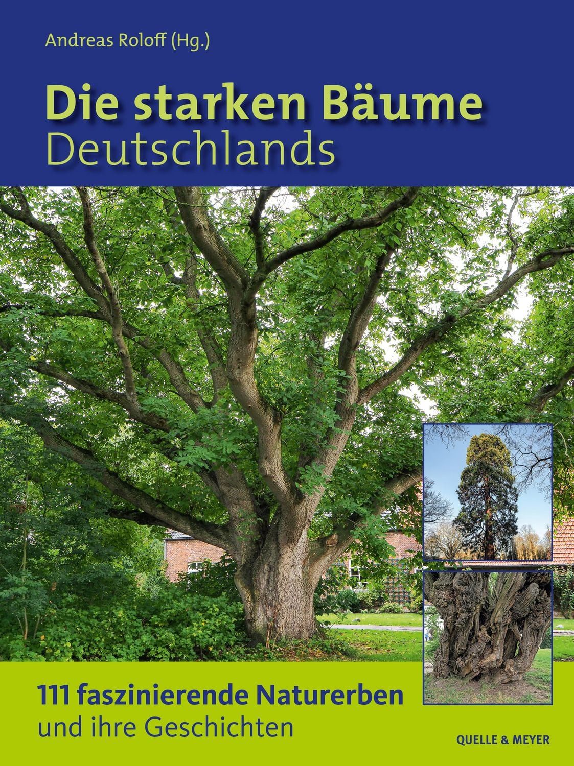 Die starken Bäume Deutschlands / diverse