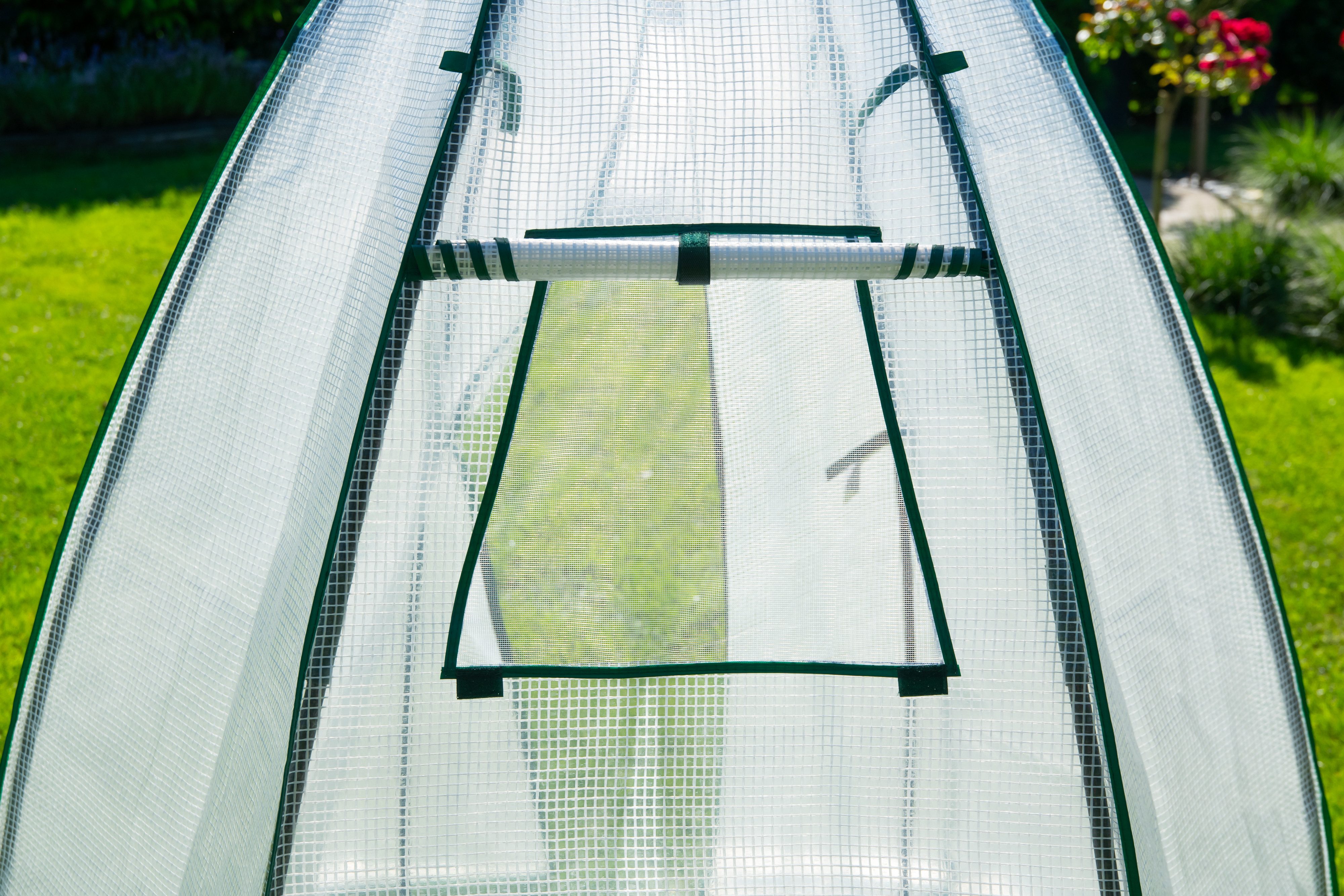 50NRTH Foliengewächshaus Olive, BxTxH: 160 x 160 x 183 cm, Überwinterungszelt