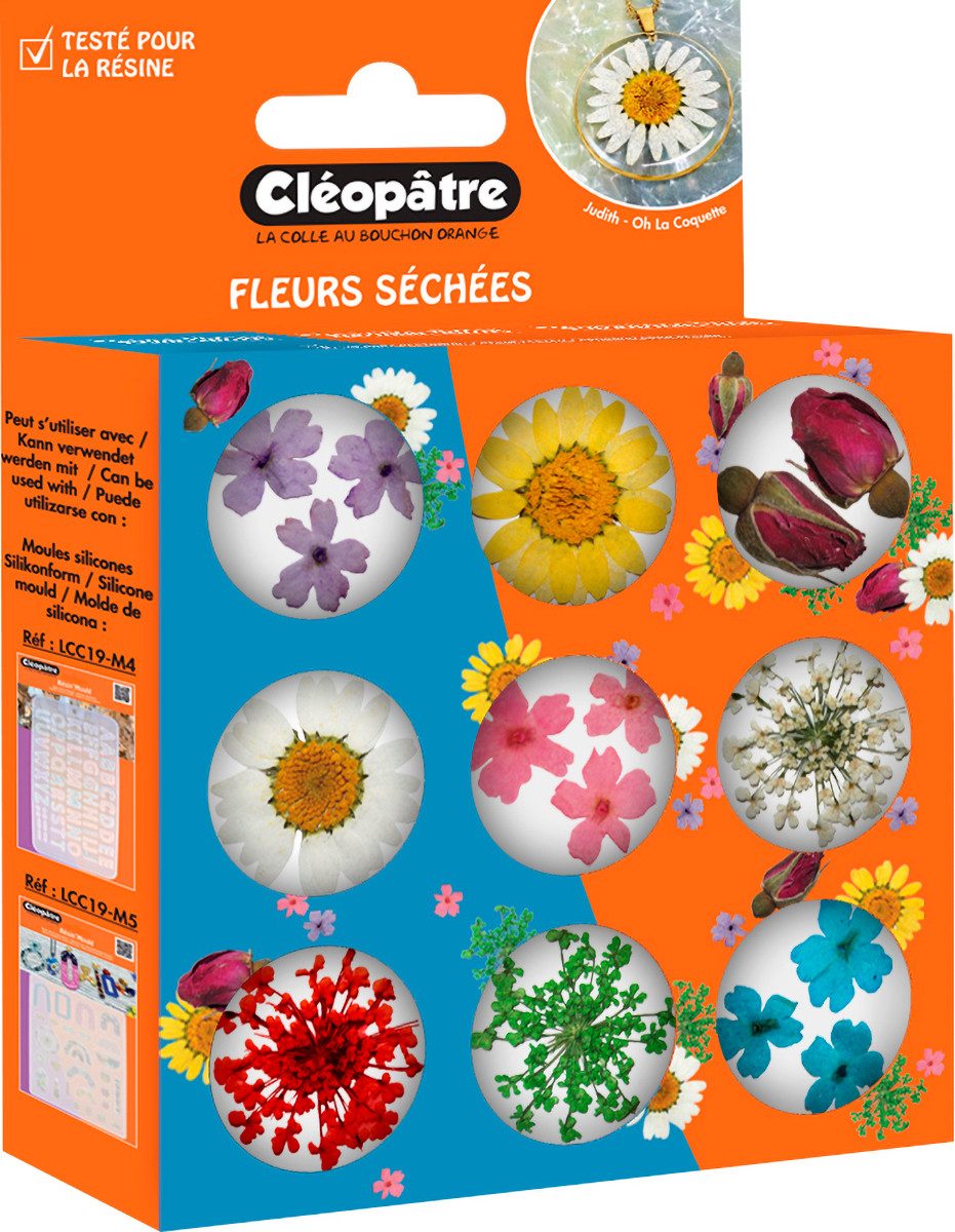 Kunstpflanze Trockenblumen Sortiment, Cléopâtre, 9 Stück