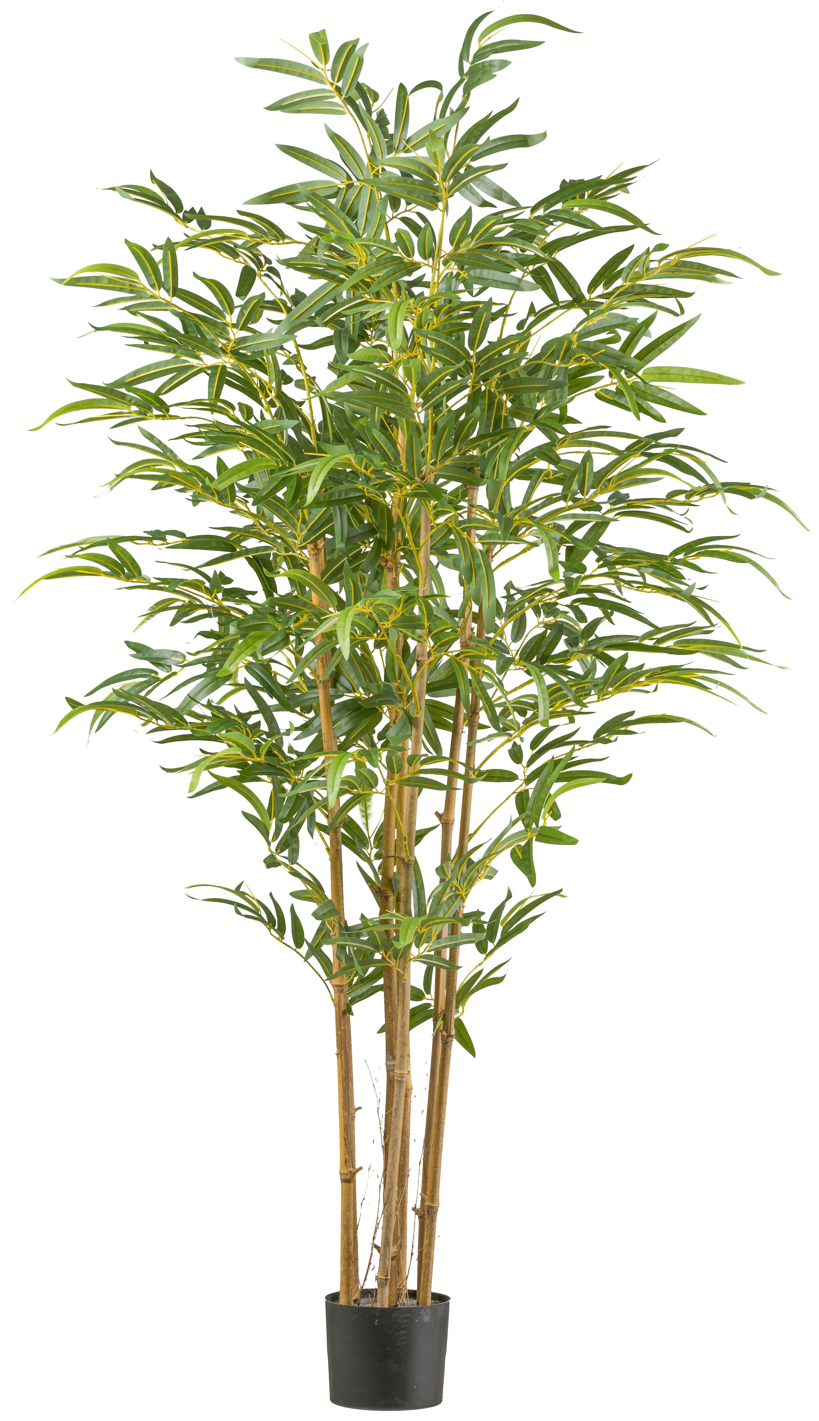 Kunstbambus Bambus, Creativ green, Höhe 180 cm, mit Naturstamm