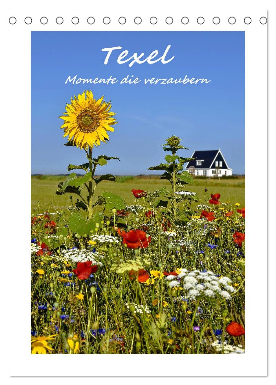 CALVENDO Wandkalender Texel - Momente die verzaubern (Tischkalender 2026 DIN A5 hoch), CALVE
