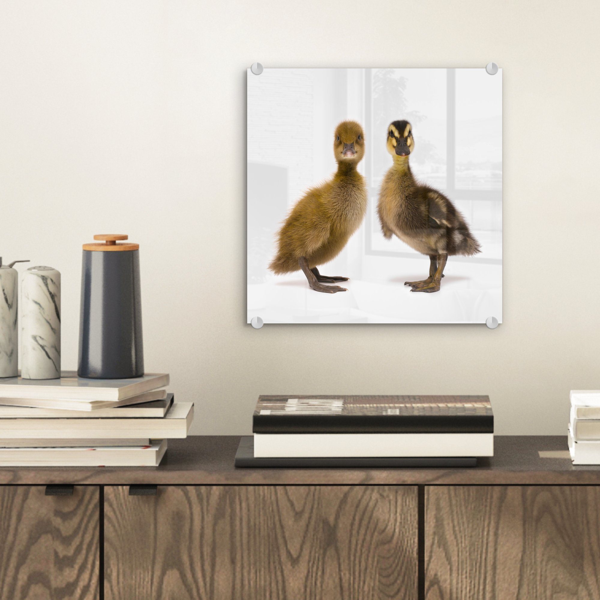 auf Foto Glasbilder Wandbild Glas - MuchoWow auf Wanddekoration Kamera, Acrylglasbild Zwei schauen Glas Bilder in (1 St), - Baby-Enten - die