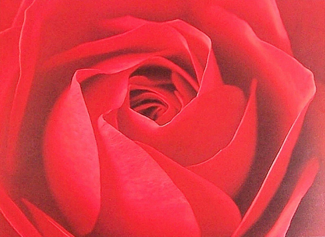 my home Kunstdruck »Ce la Rose«, (1 Stück)-Otto