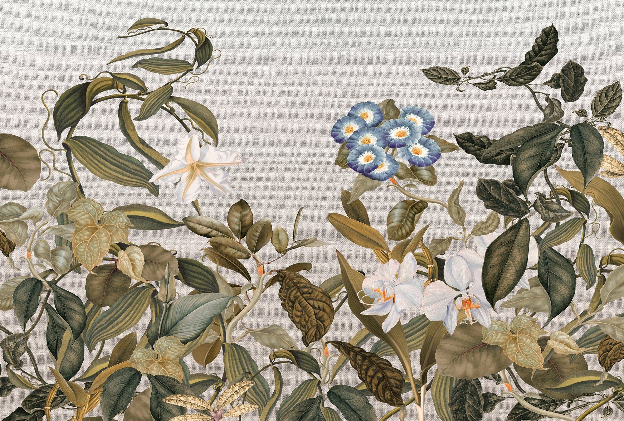 Botanic Architects Paper Decke glatt, blau/grün/weiß/grau Schräge, 1, Sketch Atelier 47 (4 Fototapete floral, Wand, Vlies, St),