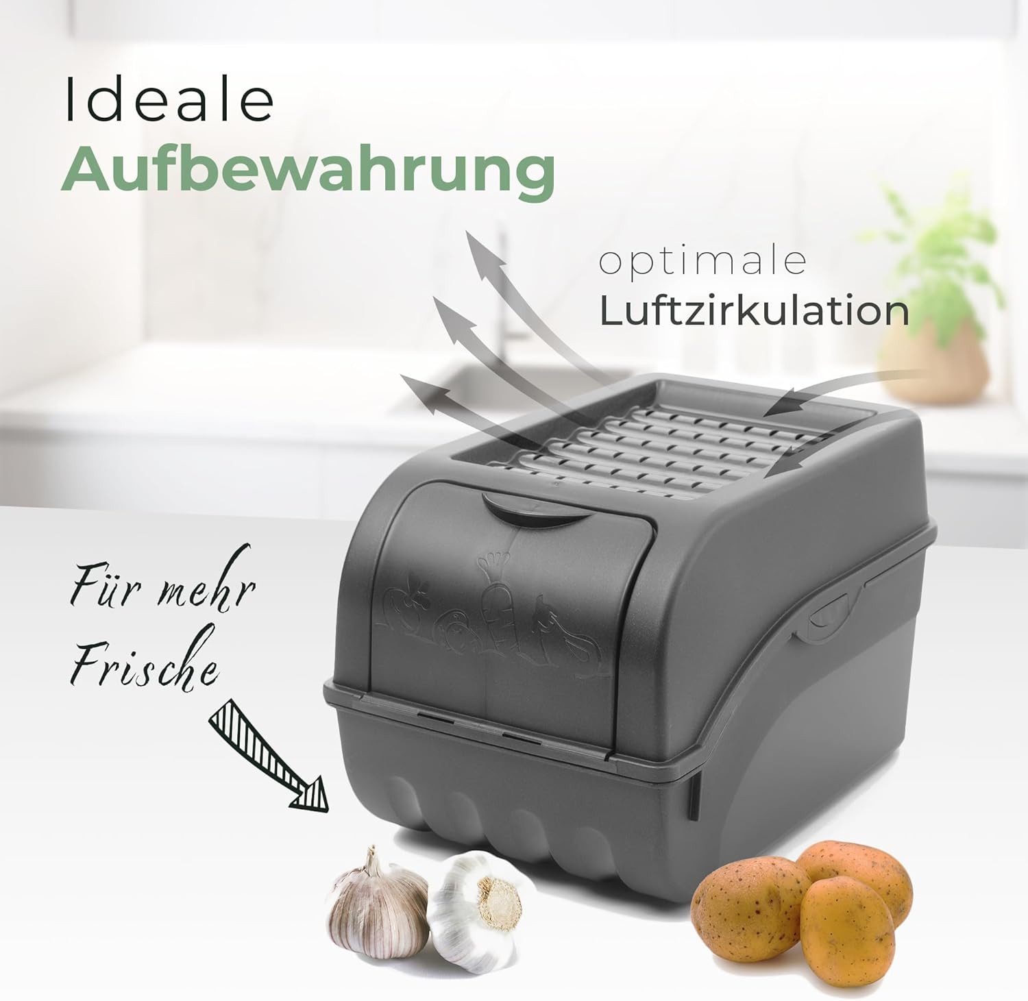 Novaliv Aufbewahrungsbox 19710-3xStuck (3 St), Kartoffel Aufbewahrungsbox 3x klein 3,5L ANTHRAZIT GRAU Zwiebelb