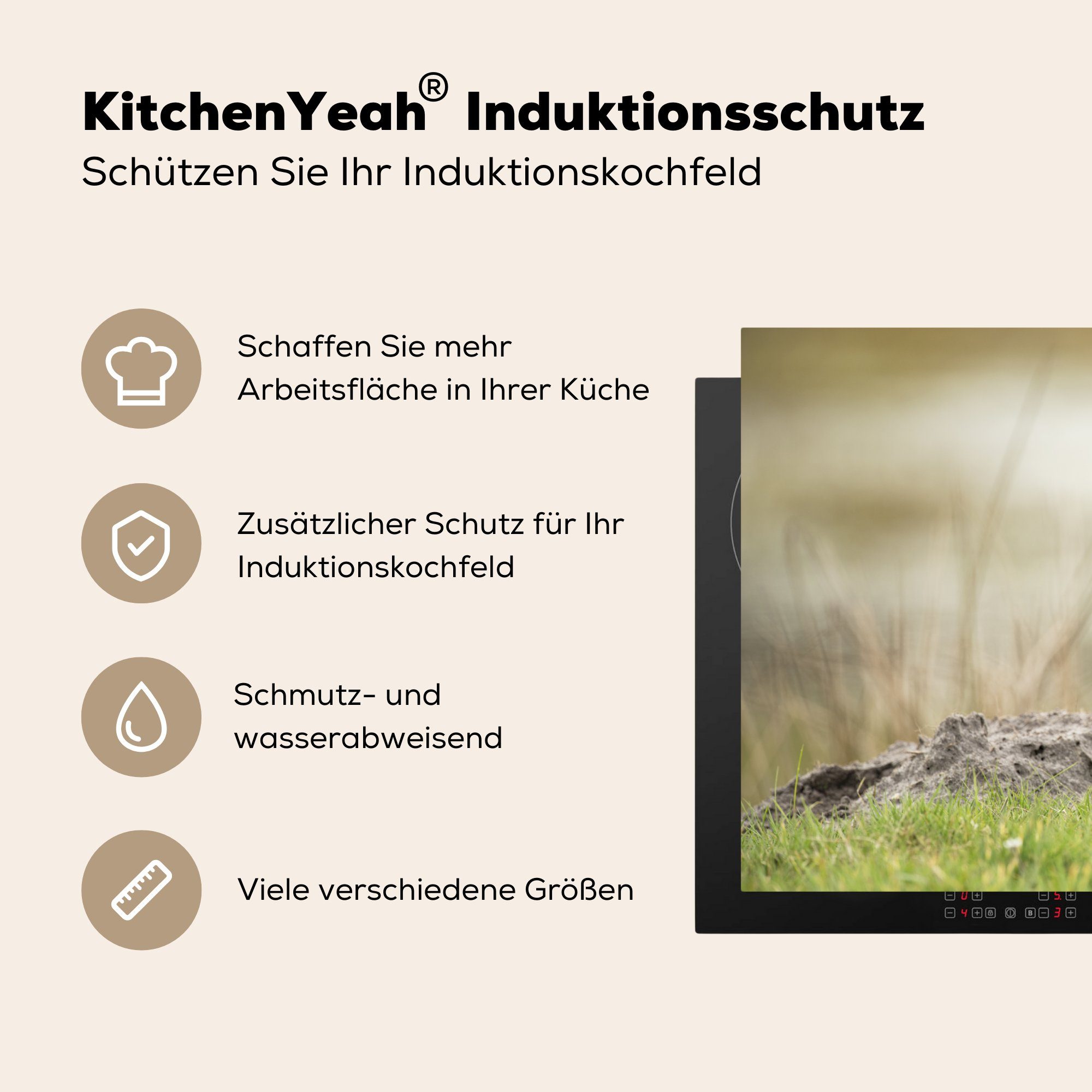 MuchoWow Herdblende-/Abdeckplatte Kiebitz, - Gras - cm, Tiere Ceranfeldabdeckung, 77x51 - küche Natur Arbeitsplatte tlg), für - Vogel Vinyl, (1