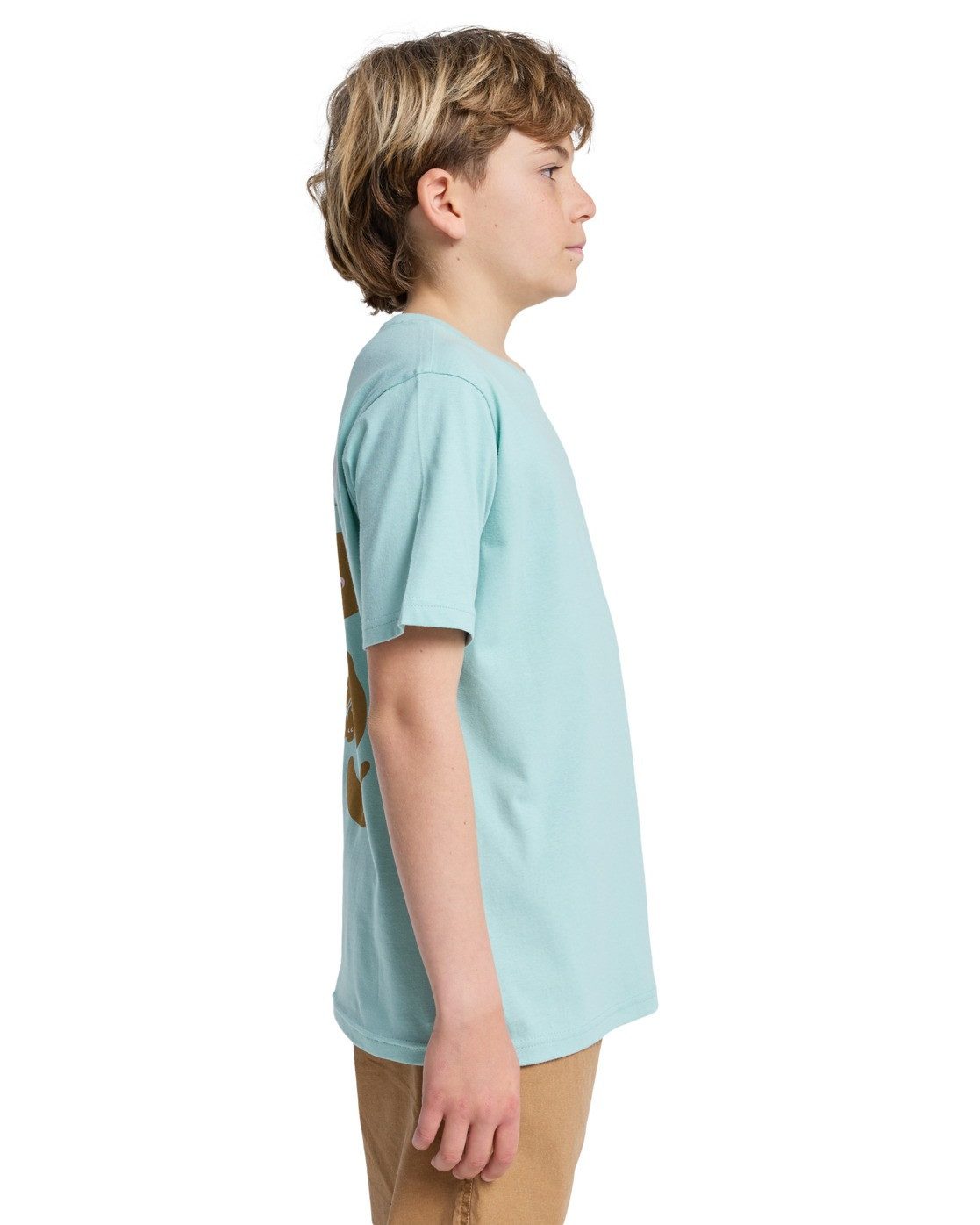 Quiksilver T-Shirt Fruits Tide