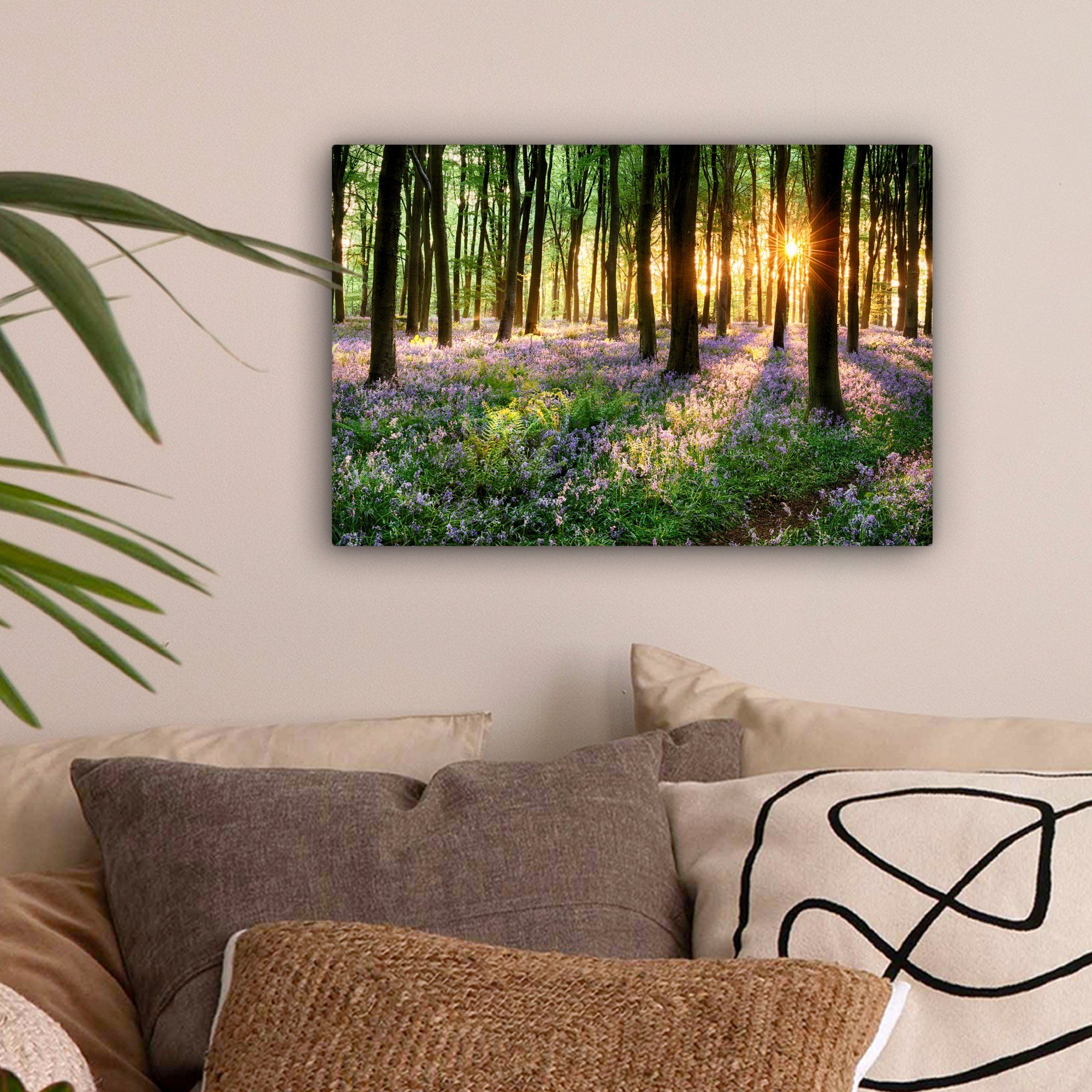OneMillionCanvasses® Leinwandbild Wald - Blumen - Lavendel - Sonne - Lila - günstig online kaufen