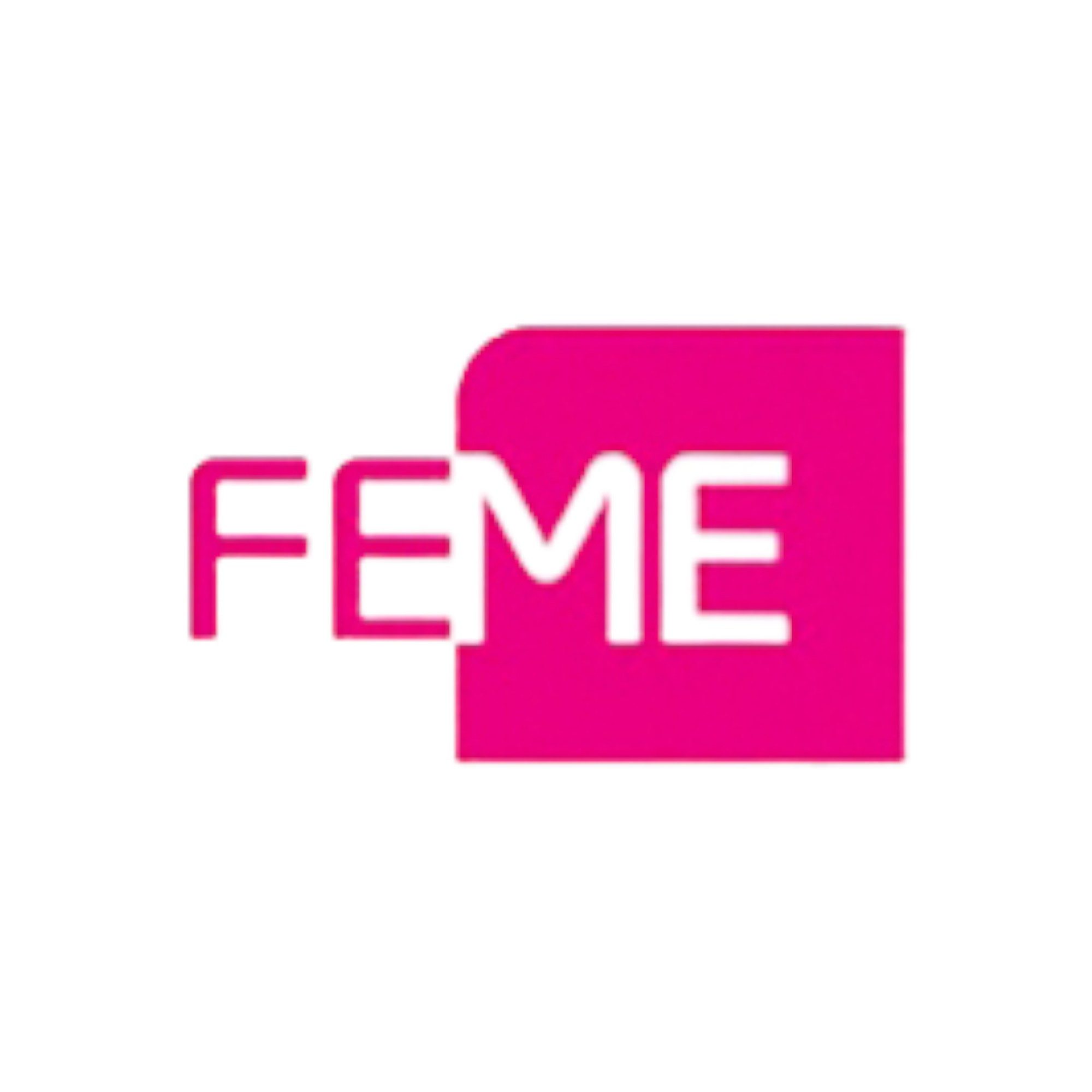FEME Ltd.