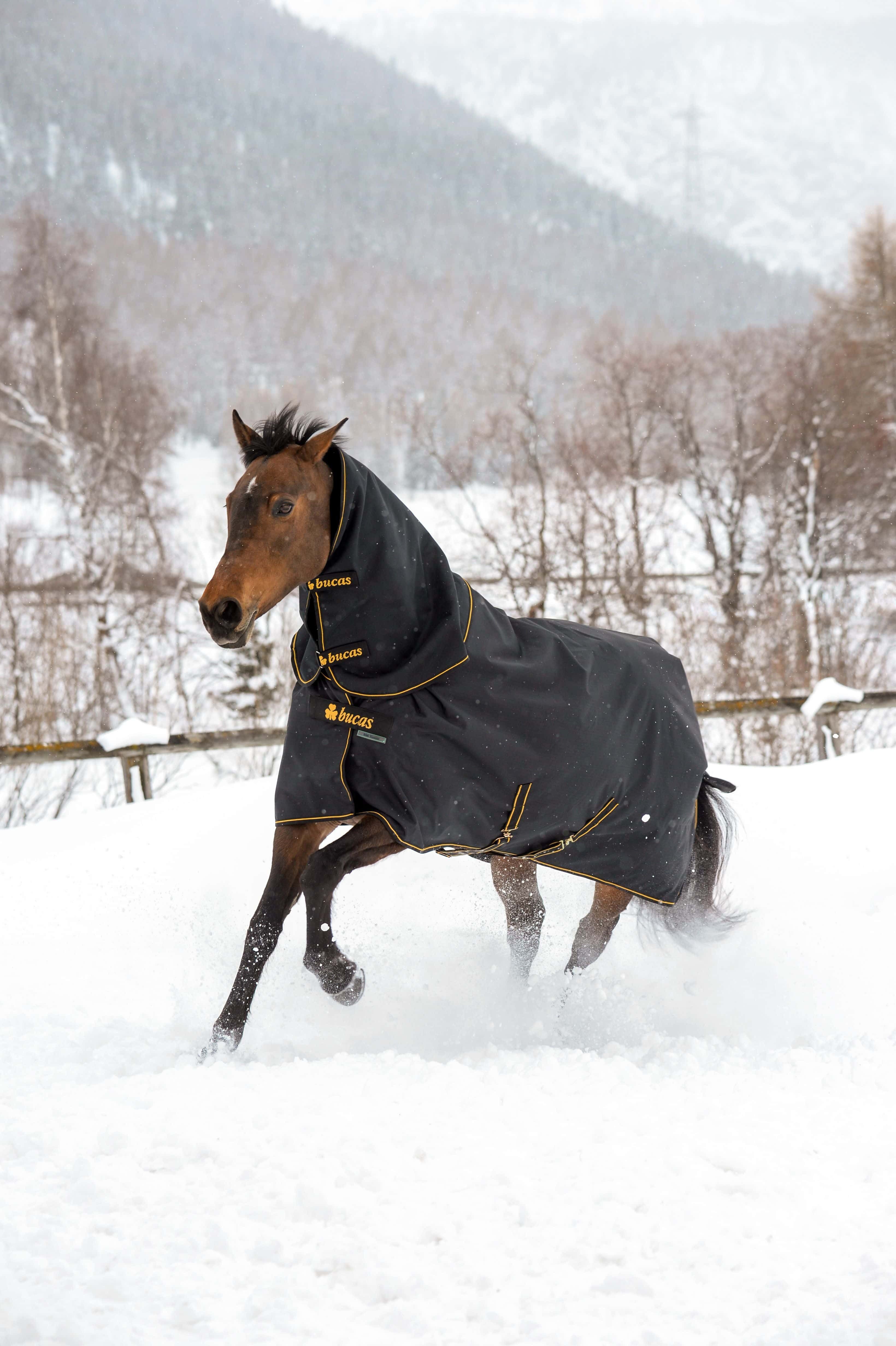 Bucas Pferde-Halsteil Halsteil Irish Combi Neck