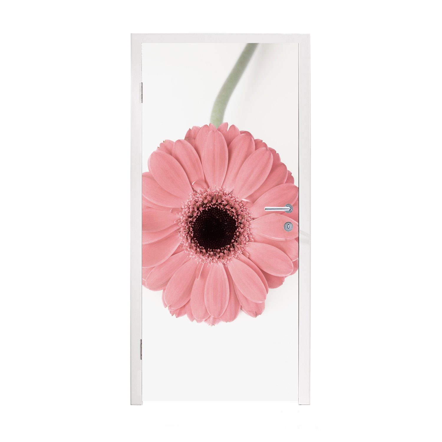 Pflanze, für Matt, Rosa Türtapete Fototapete - St), - - cm 75x205 Blume Natur bedruckt, Türaufkleber, Tür, MuchoWow (1