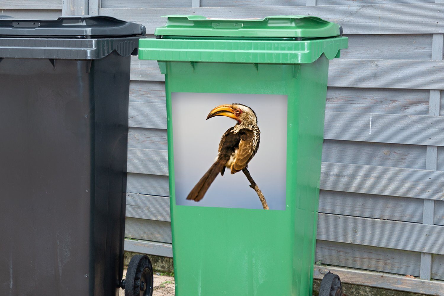 MuchoWow Wandsticker Beeindruckendes Porträt eines Mülleimer-aufkleber, Sticker, schönen Container, Abfalbehälter Mülltonne, Südlichen St), (1