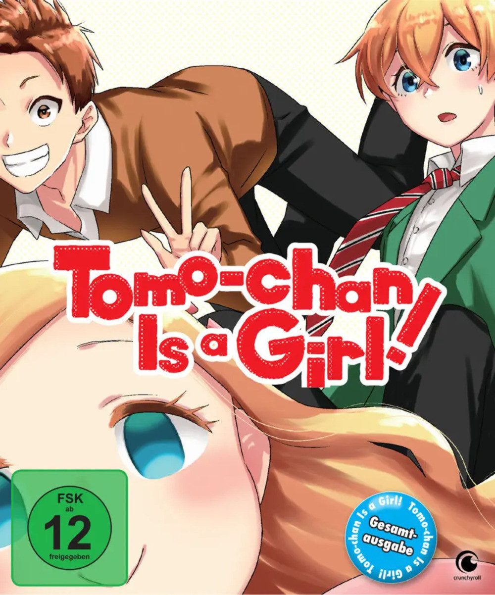 DVD Tomo-chan Is a Girl! - Gesamtausgabe, 2 DVD