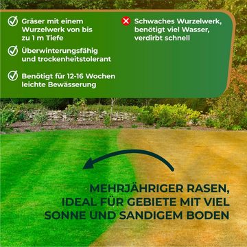 GreenEdge Rasendünger Rasenpellets ummantelte Rasensamen, dürreresistent, 100% natürlich, mit Mikro-und Makro-Nährstoffen