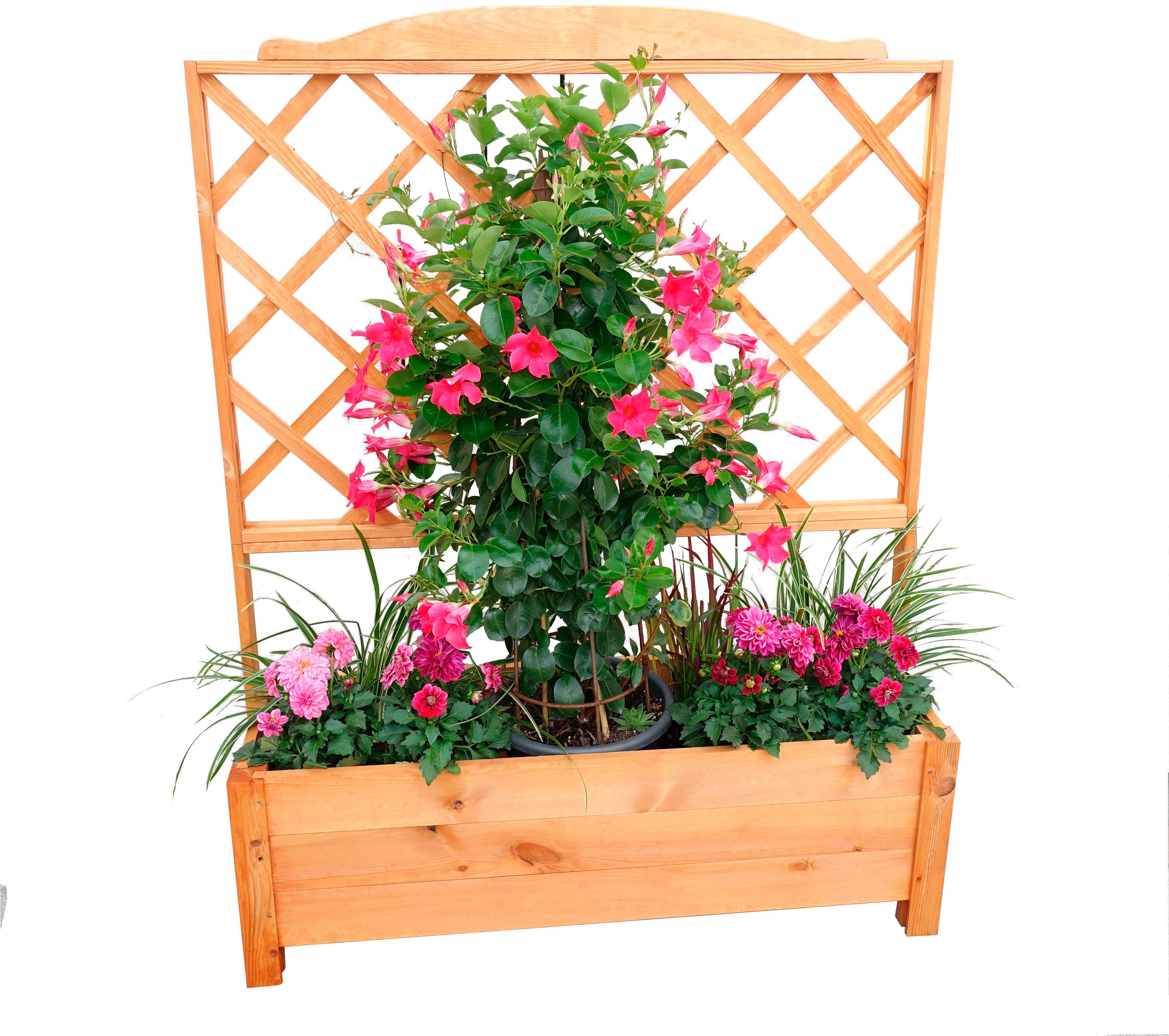 promadino Spalier, mit Pflanzkasten, BxTxH: 110x32x140 günstig online kaufen
