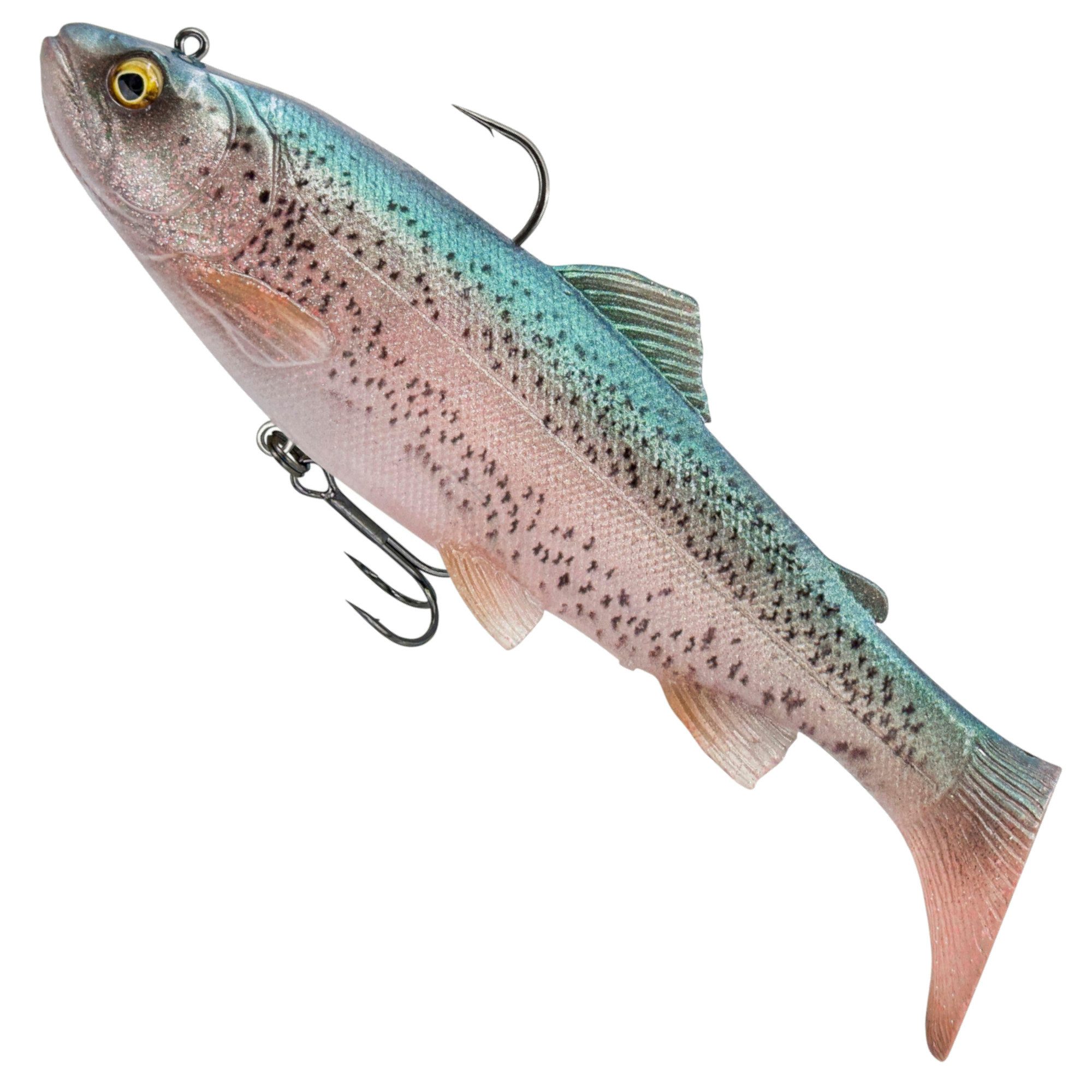 Clear Rainbow Trout