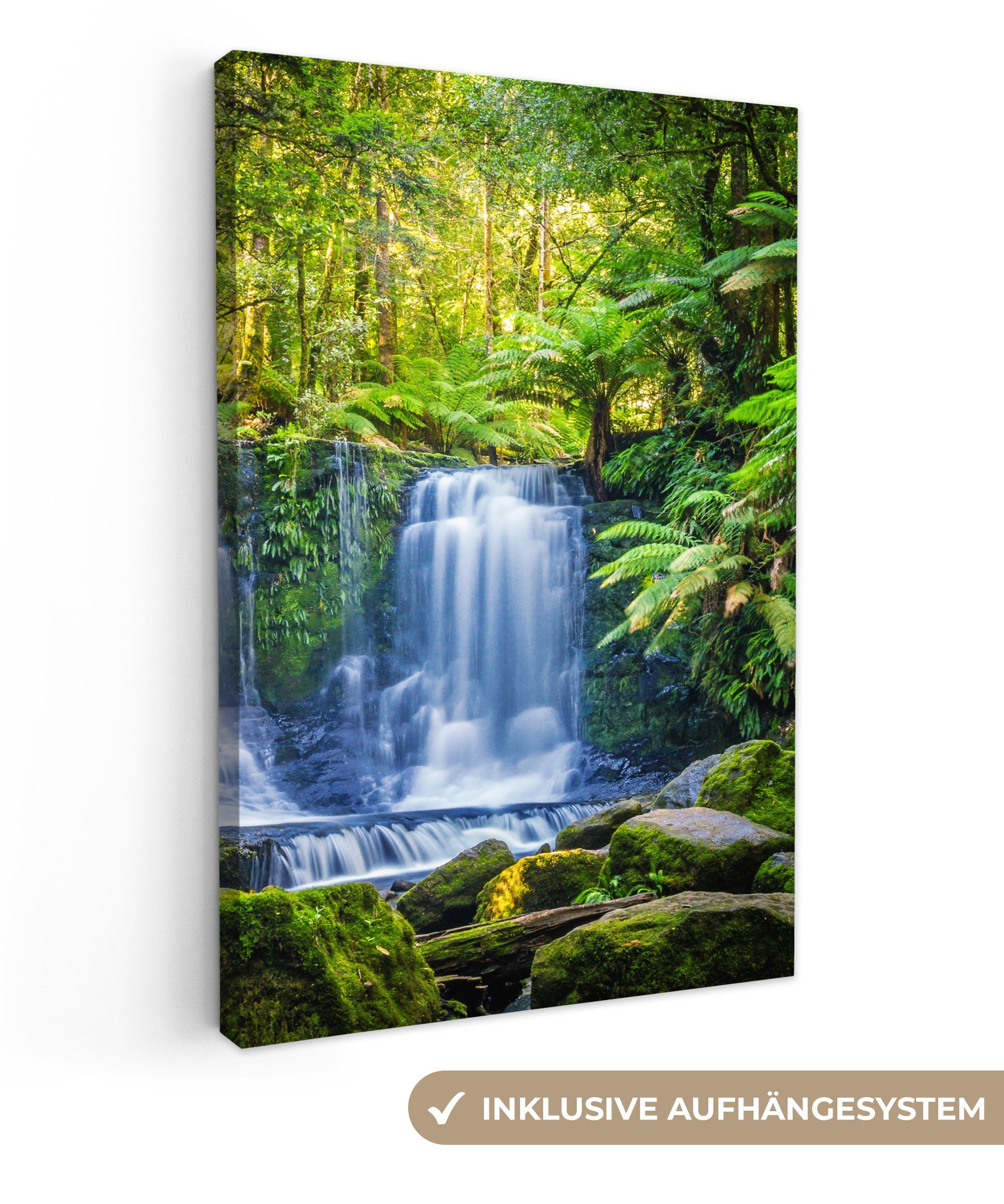 OneMillionCanvasses® Leinwandbild Dschungel - Wasserfall - Australien - Pfl günstig online kaufen