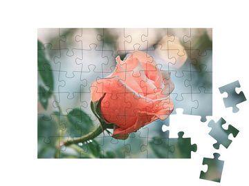 puzzleYOU Puzzle Rosa Blumen: Rose vor unscharfem Hintergrund, 48 Puzzleteile, puzzleYOU-Kollektionen Blüten, Blumen & Pflanzen