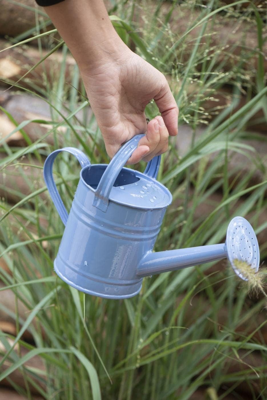 Ib Laursen Gießkanne Gießkanne Kindergießkanne Metall 0,8 Liter kleine Gießkanne Vintage (1 Kanne), Mit langem Ausgießer für präzises und sauberes Gießen