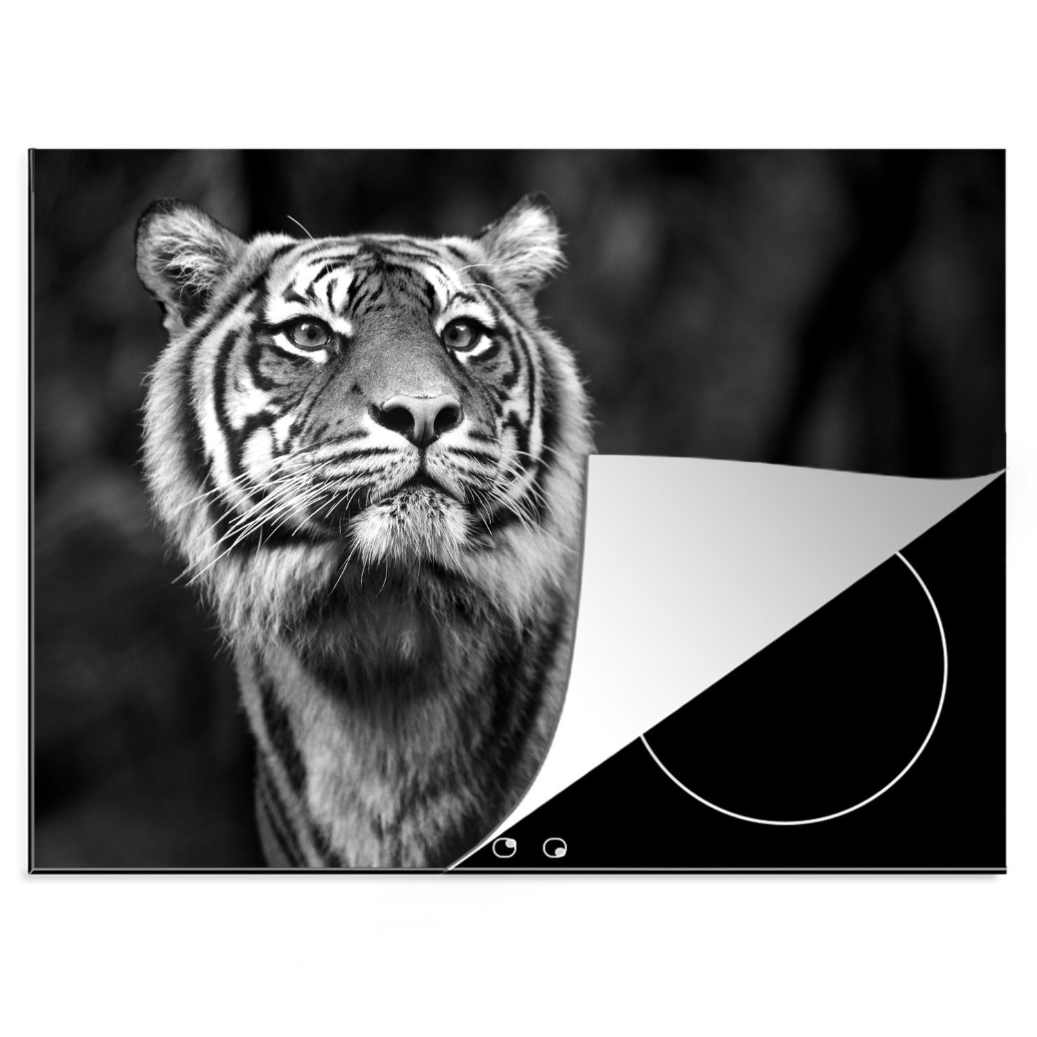 MuchoWow Herdblende-/Abdeckplatte Tiger - Dschungel - Schwarz - Weiß, Vinyl, (1 tlg), 70x52 cm, Mobile Arbeitsfläche nutzbar, Ceranfeldabdeckung