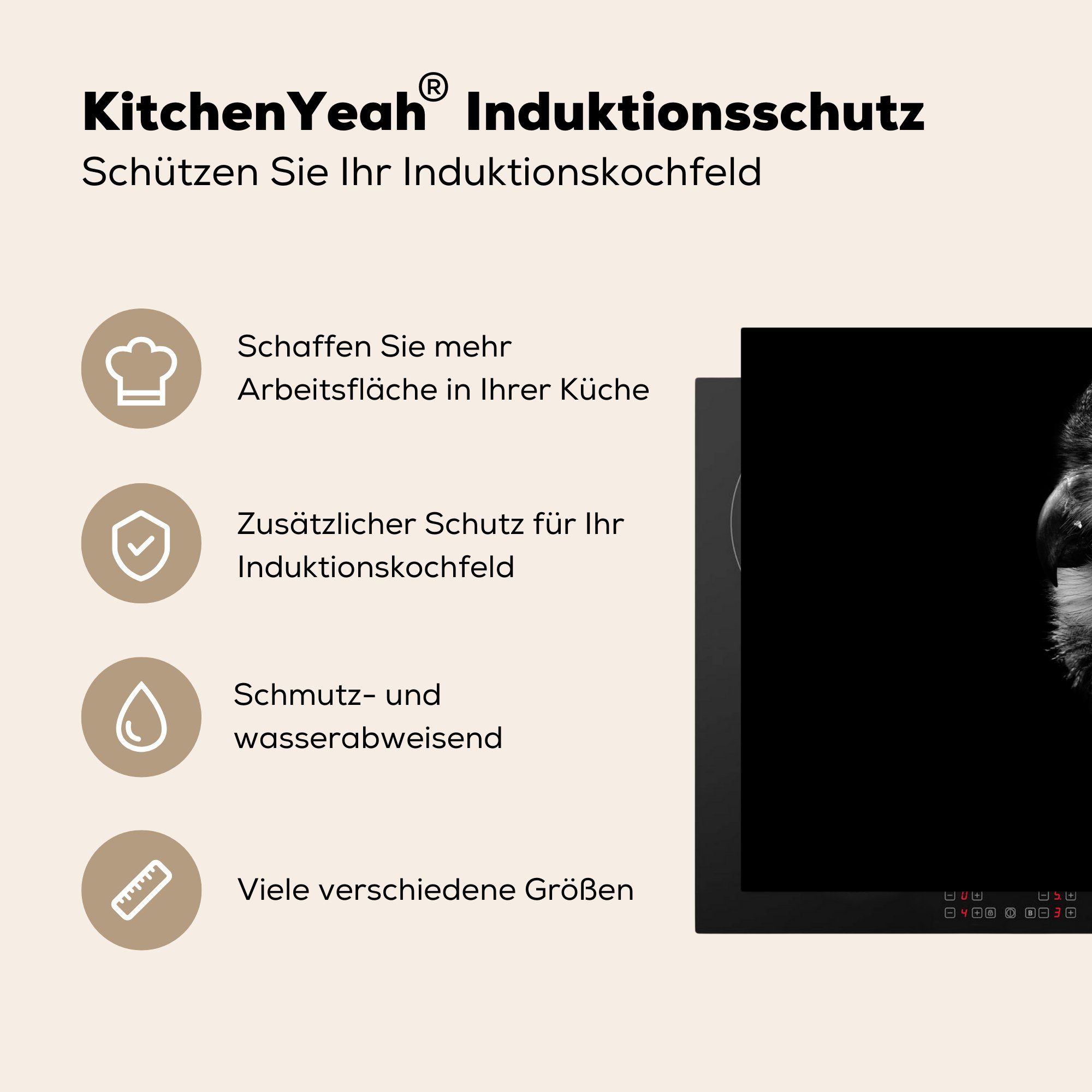 81x52 Herdblende-/Abdeckplatte Porträt, tlg), - Ceranfeldabdeckung, (1 für - Schwarz Arbeitsplatte Eule cm, Vinyl, Vogel MuchoWow - küche