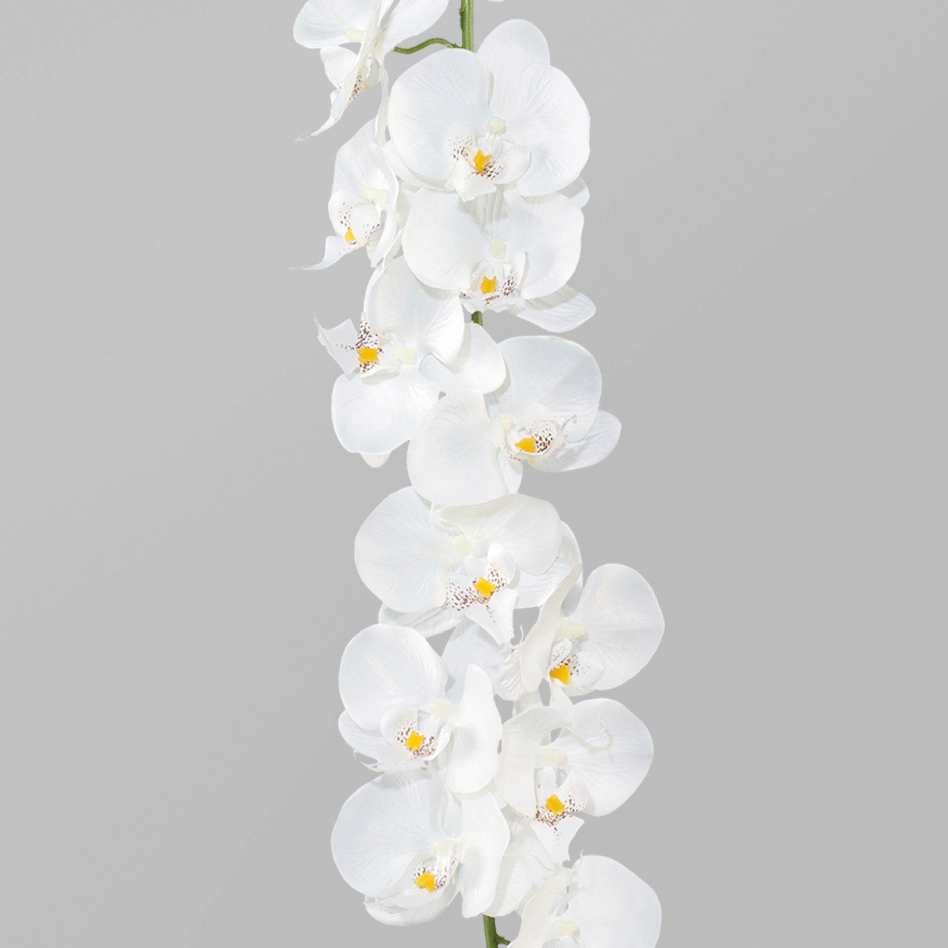 Kunstgirlande Orchideengirlande Orchidee Phalaenopsis, Creativ green
