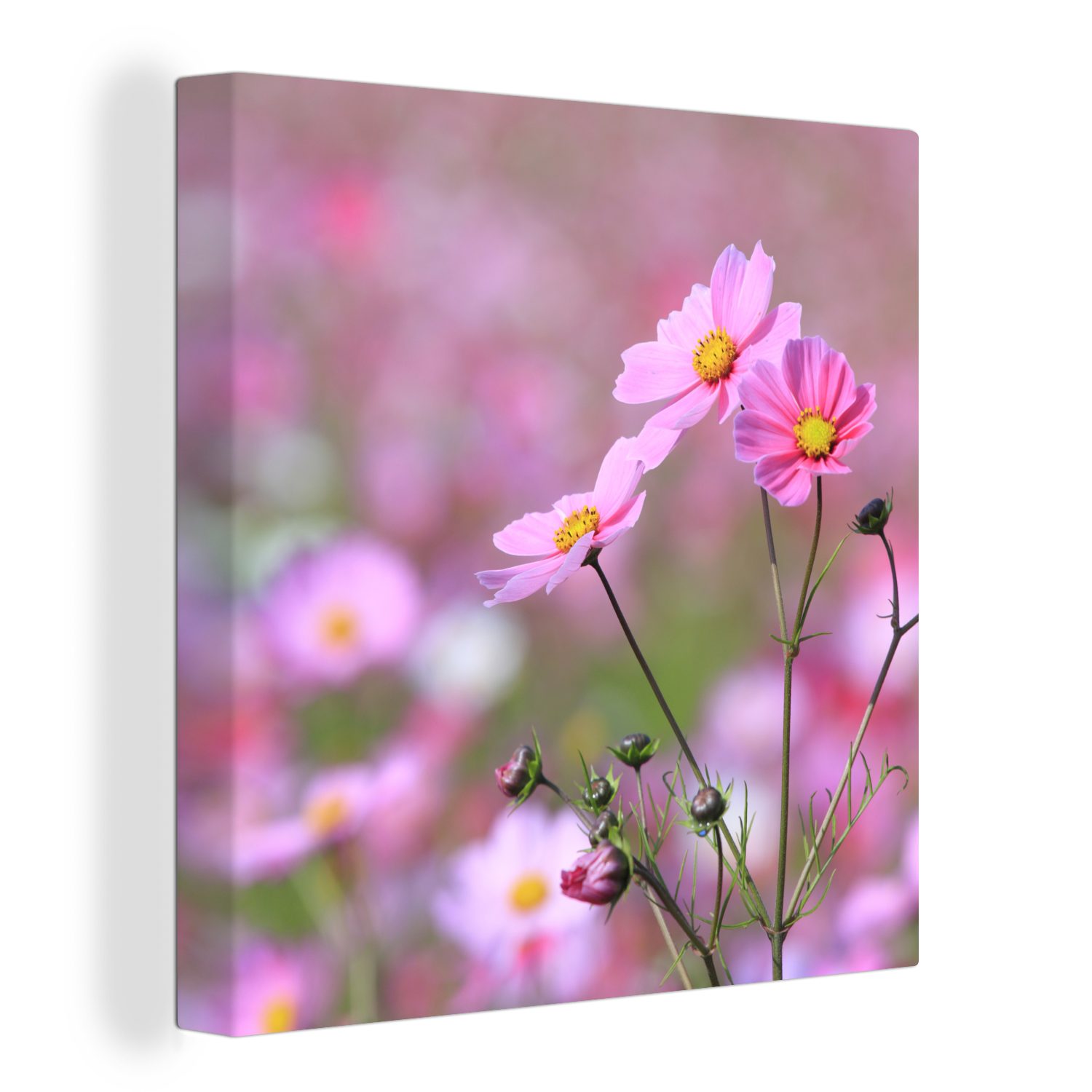 OneMillionCanvasses® Leinwandbild Blumen - Draußen - Rosa, (1 St), Leinwand Bilder für Wohnzimmer Schlafzimmer