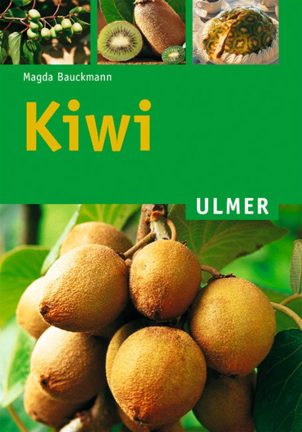 Kiwi / Magda Bauckmann