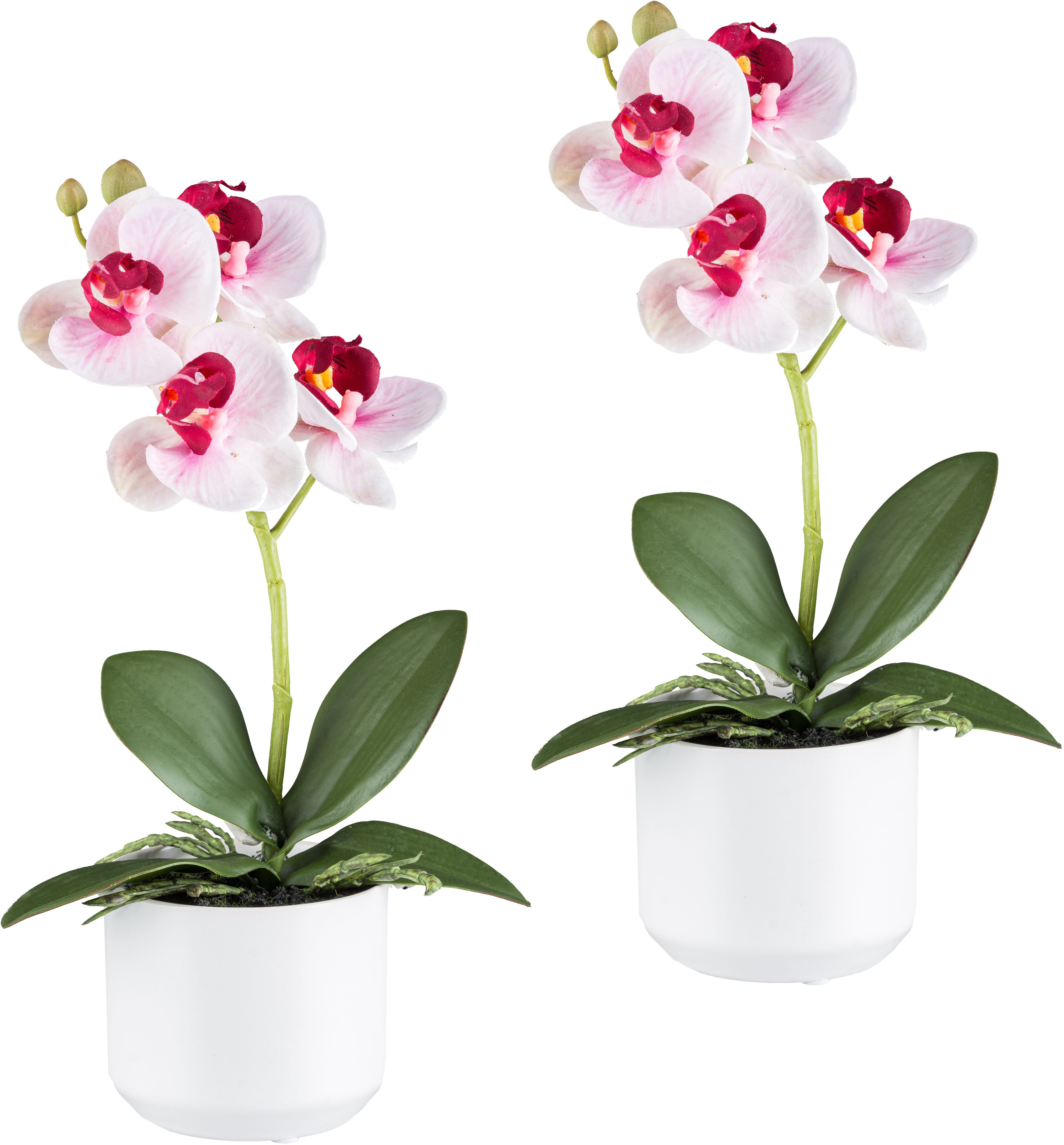Kunstorchidee Orchidee Phalaenopsis, Creativ green, Höhe 27 cm, mit real-touch-Blüten