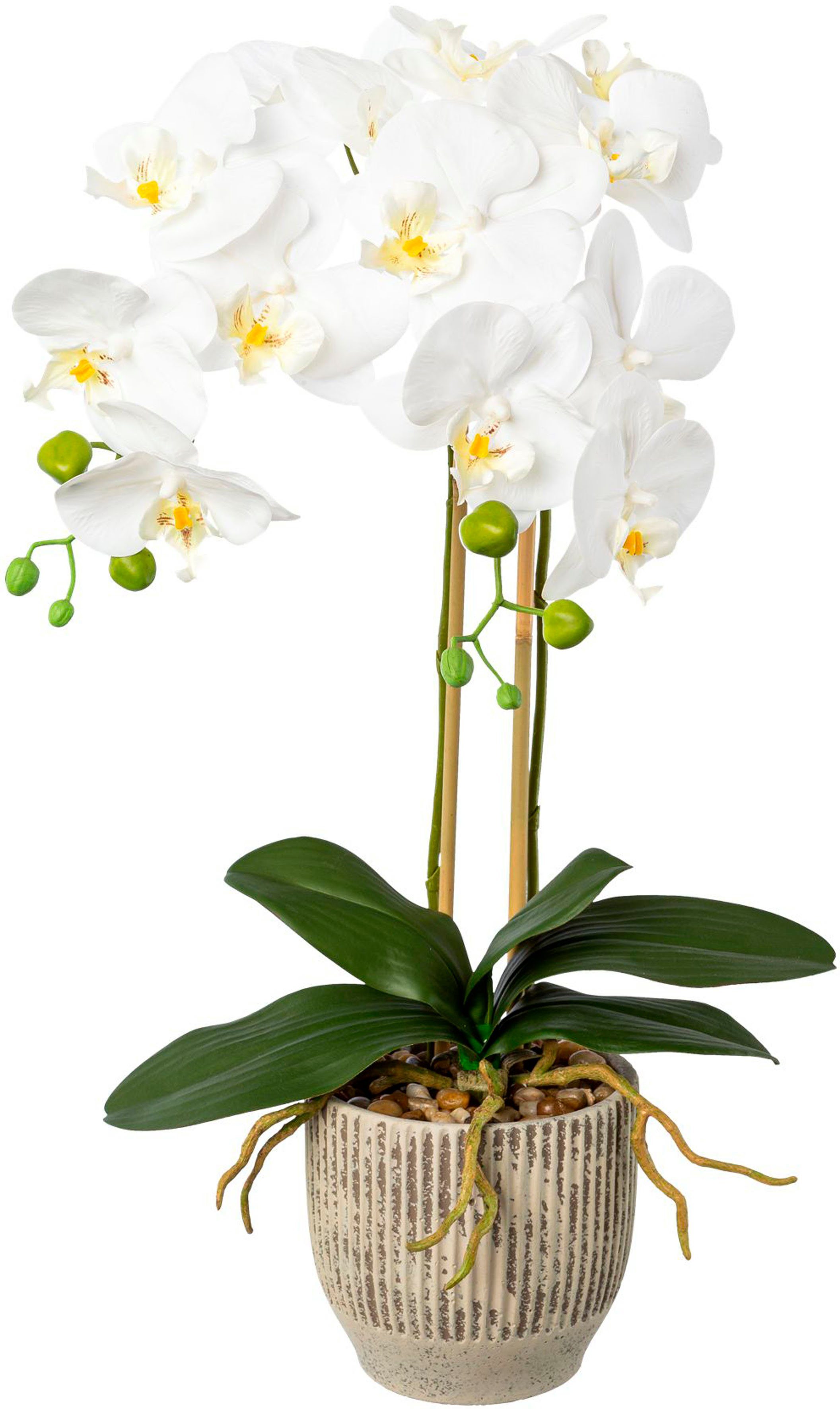 Kunstorchidee Orchidee Phalaenopsis im Keramiktopf, Creativ green, Höhe 55 cm