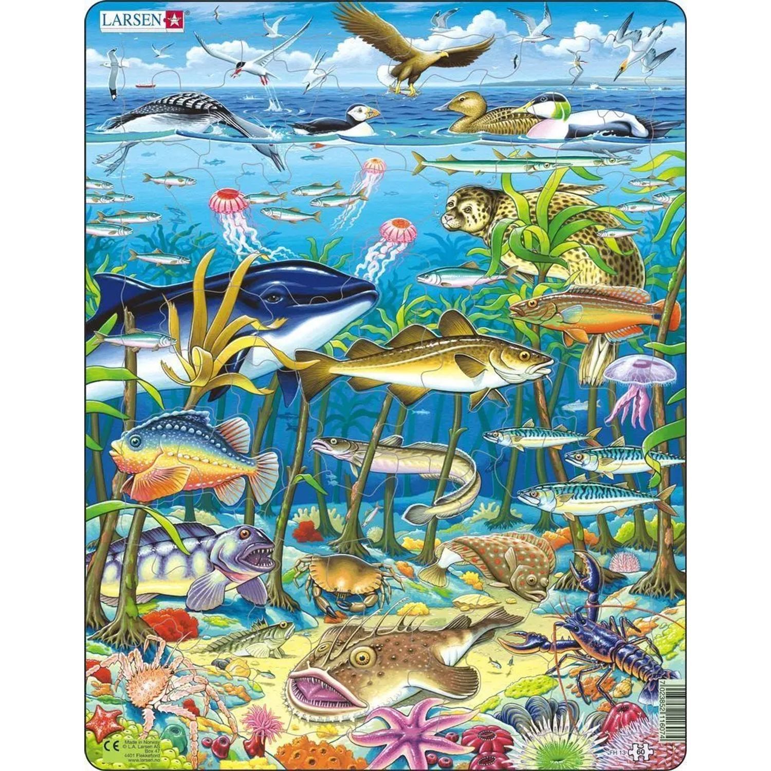 Media Verlag Puzzle Meereslebewesen im Nordatlantik (Kinderpuzzle), 99 Puzzleteile